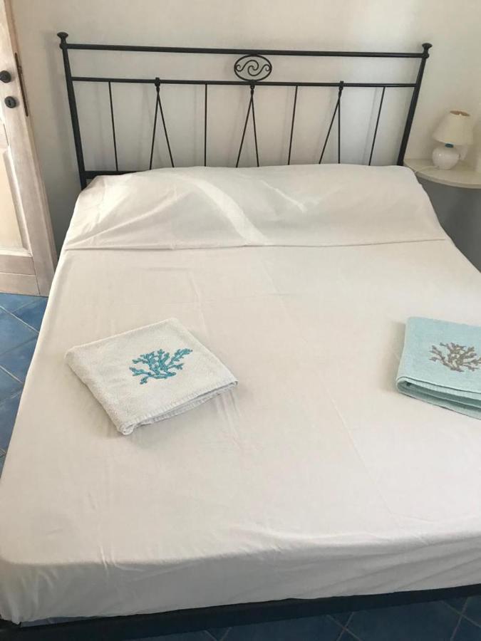 Tiffany Palau Bed and Breakfast Buitenkant foto