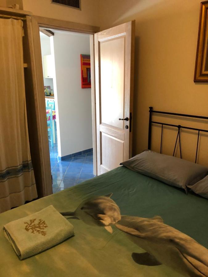 Tiffany Palau Bed and Breakfast Buitenkant foto